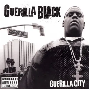 Guerilla city